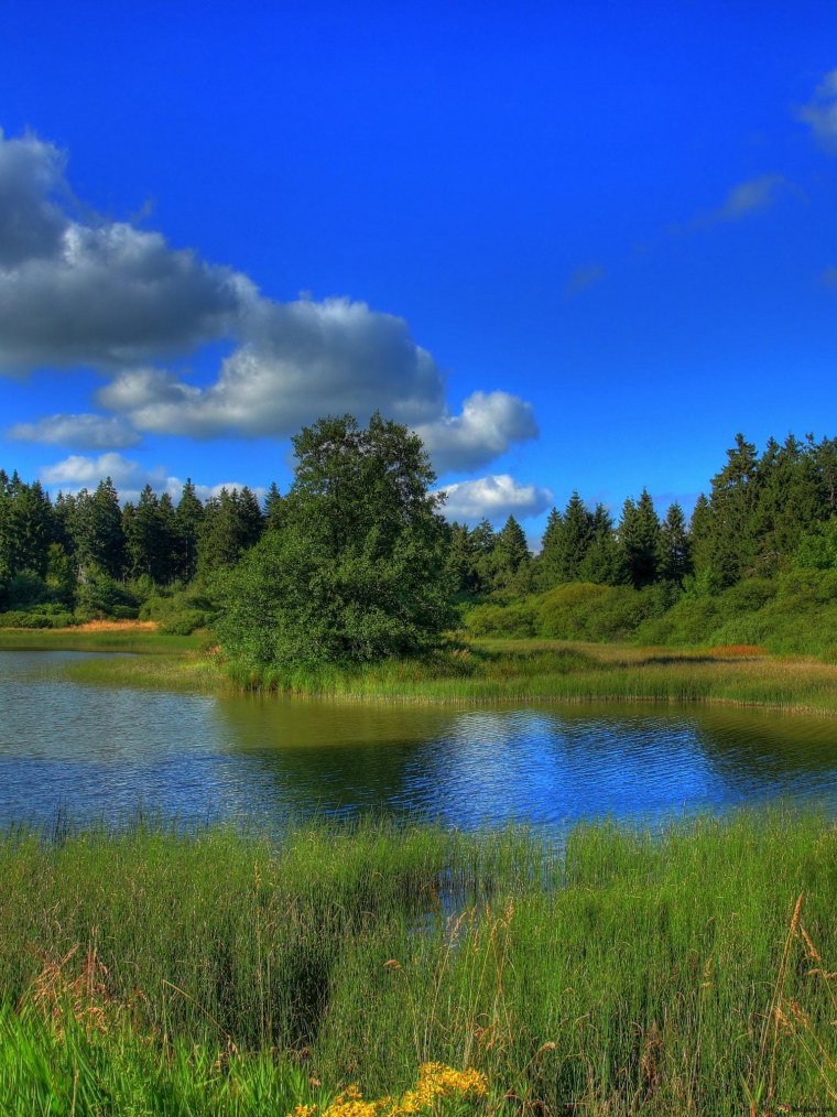 Пейзаж с рекой