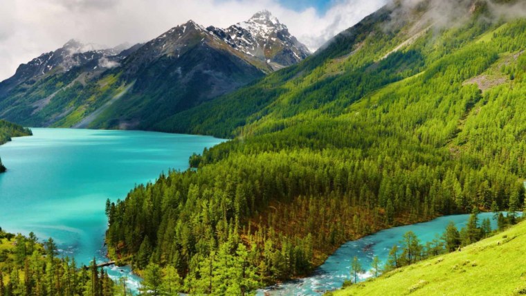 Пейзаж река и лес