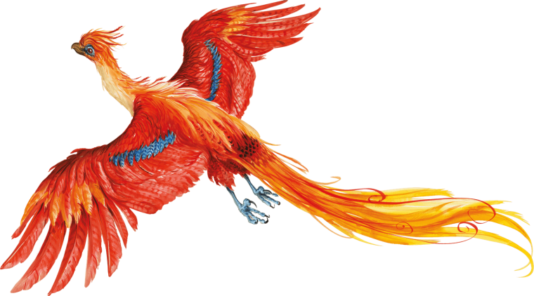 Птица Феникс Гарри Поттер