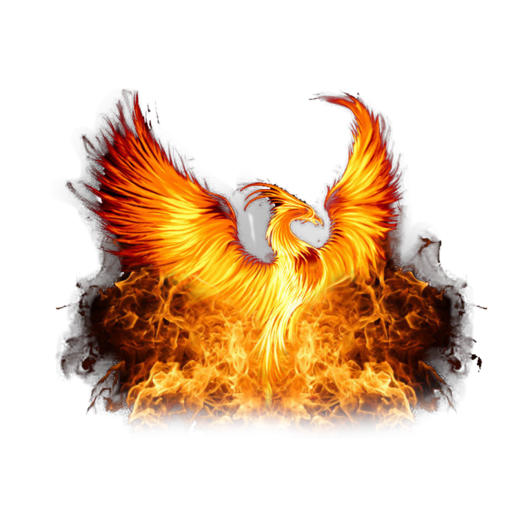 Птица Феникс на прозрачном фоне