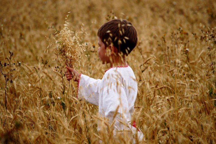 Жатва на поле