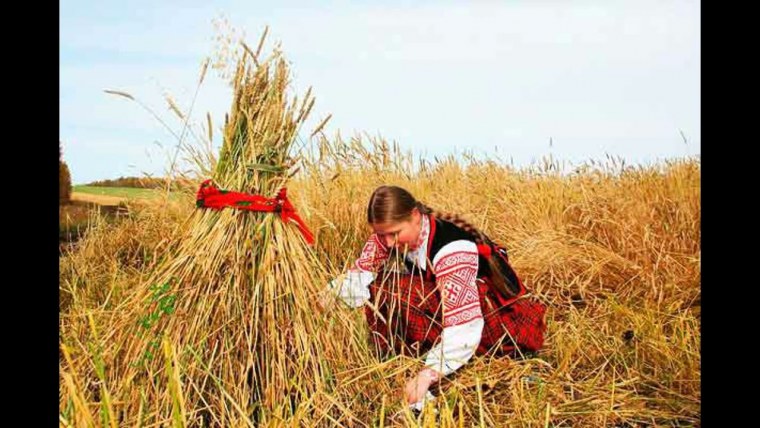 Зажинки сноп