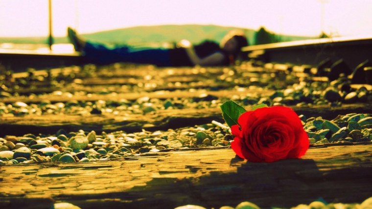 Грустный цветок