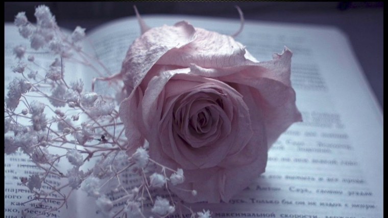 Цветок грусти и печали