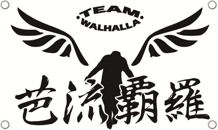 Вальхалла аниме Токийские Мстители