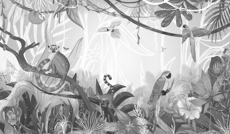 Обои для стен черные с попугаями и тиграми