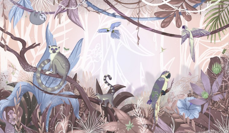 Тропические леса для детей