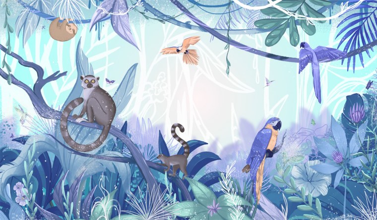 Детская сафари джунгли