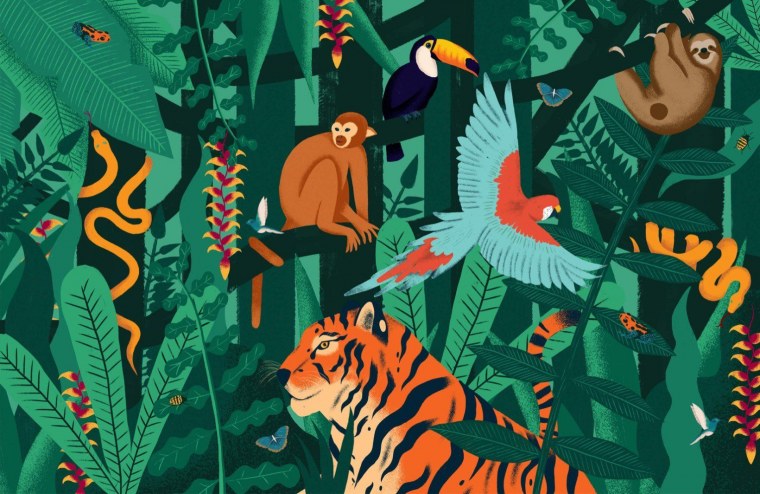 Обитатели джунглей для детей