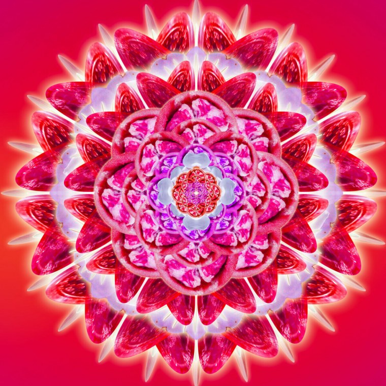 Мандала цветок любви и страсти