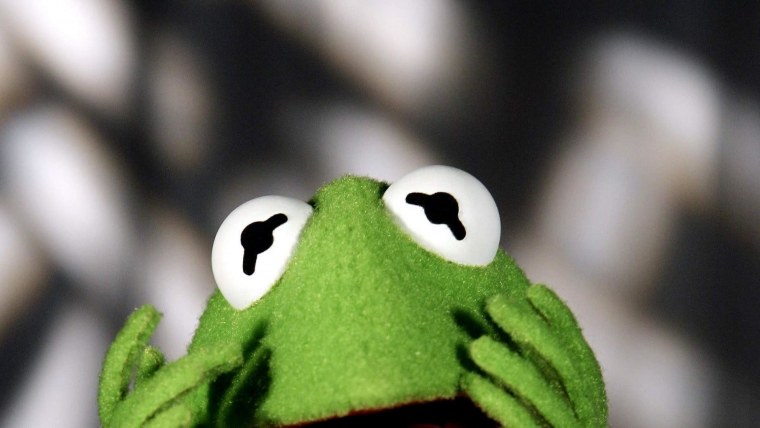 Эстетичные лягушки