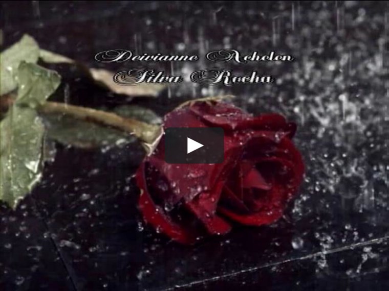 Одинокая роза под дождем