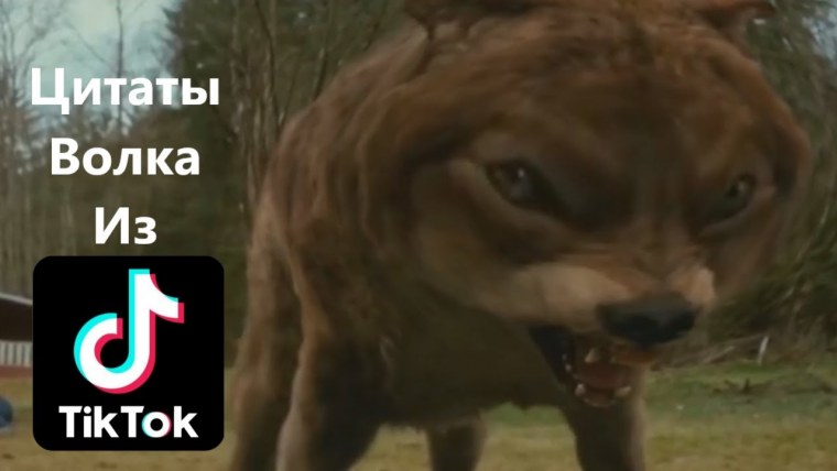 Волк ауф Мем