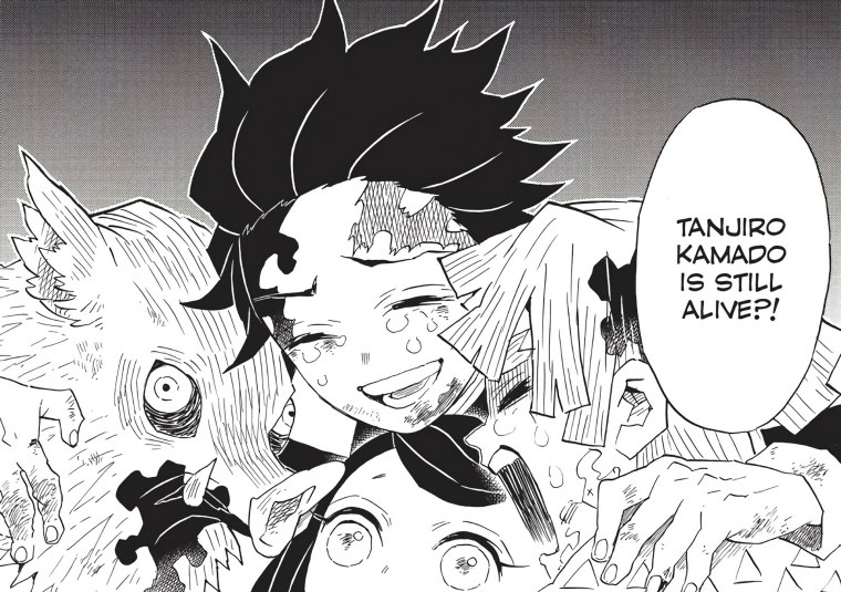 Demon Slayer Kamado Tanjirou