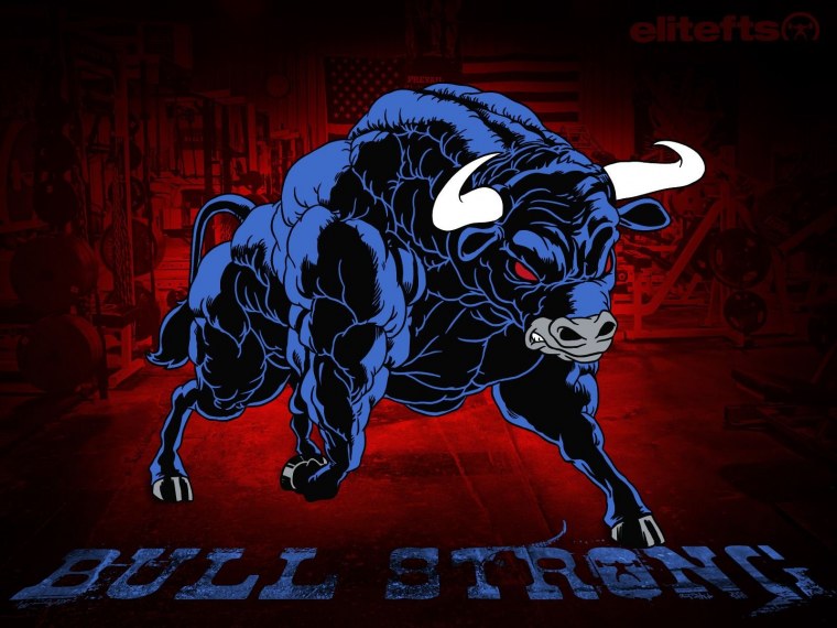 Бык на заставку