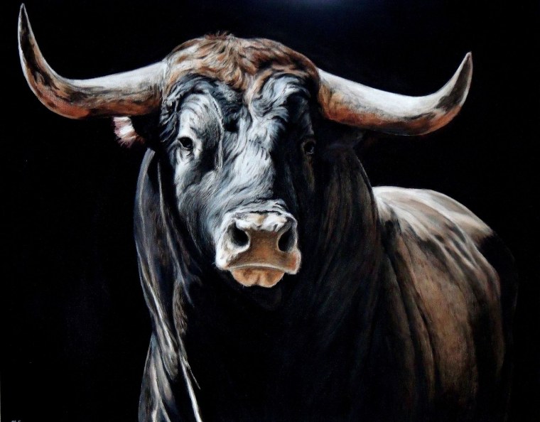 Портрет быка