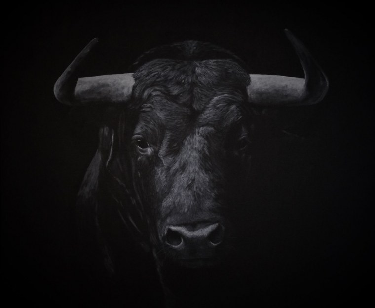 Черный бык на черном фоне