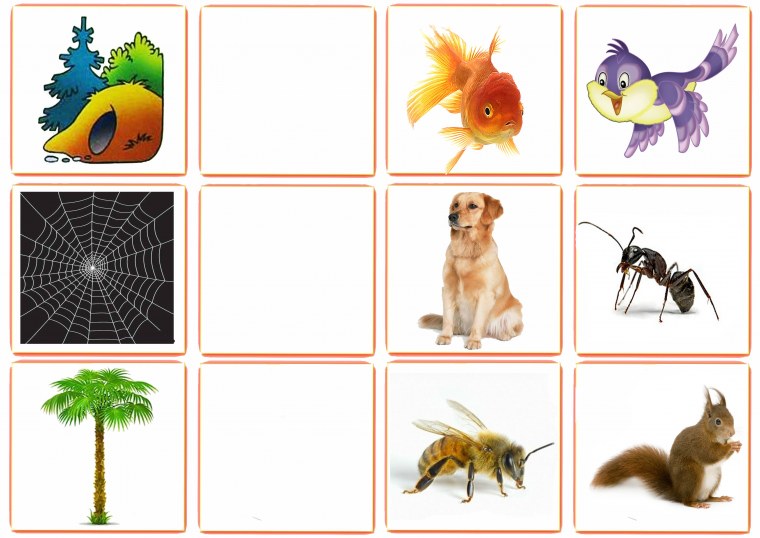 Игра живое неживое