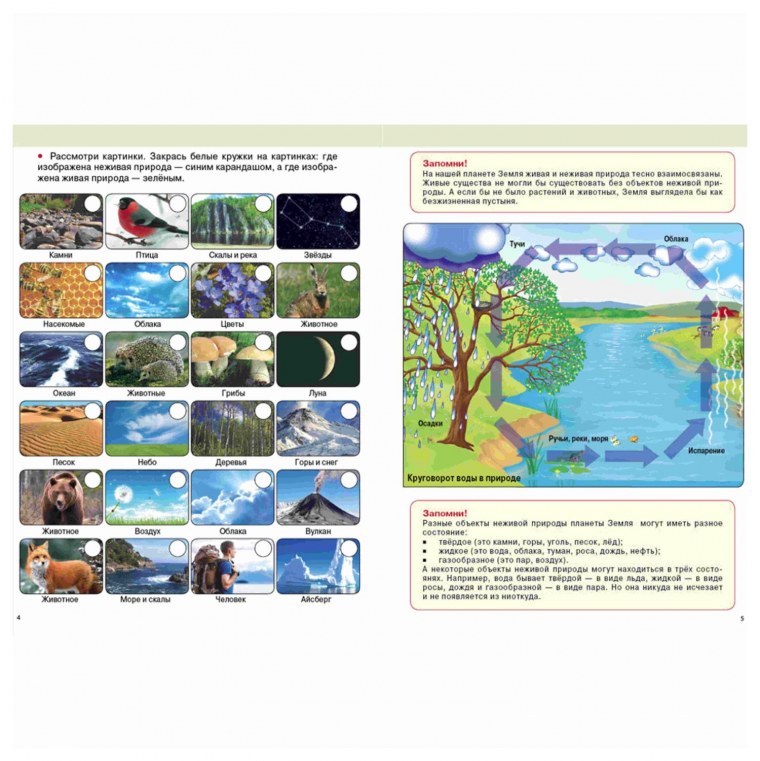 Окружающий мир Живая и неживая природа задания