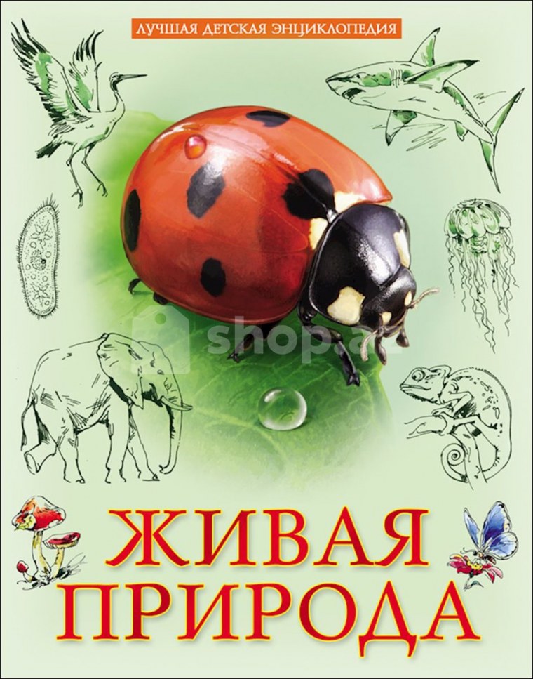 Детская энциклопедия Живая природа