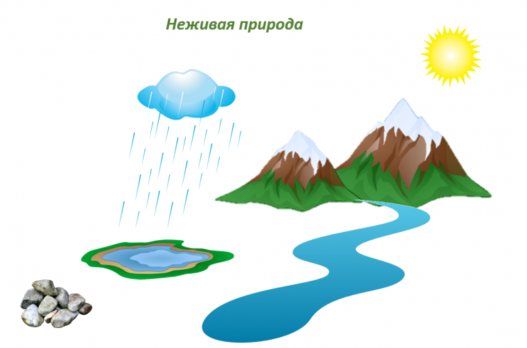 Неживая природа