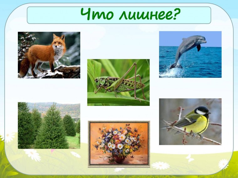 Что лишнее Живая и неживая природа