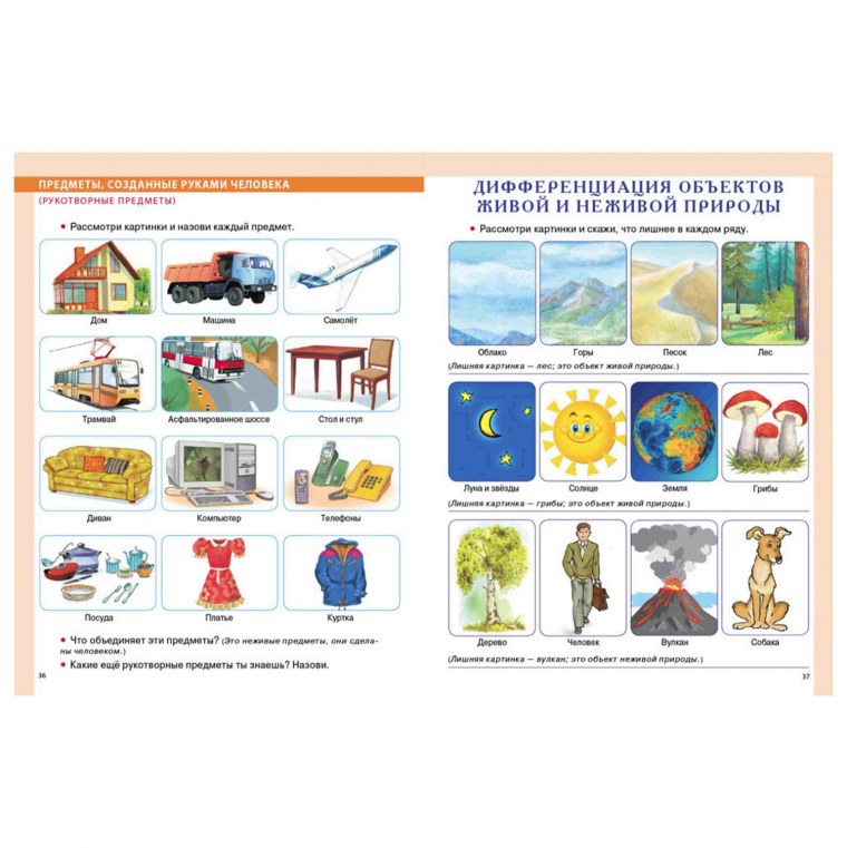 Предметы природного и рукотворного мира