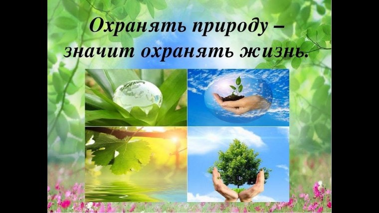 Экология берегите природу