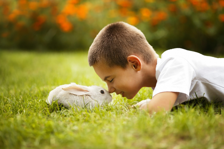 Мальчик на природе