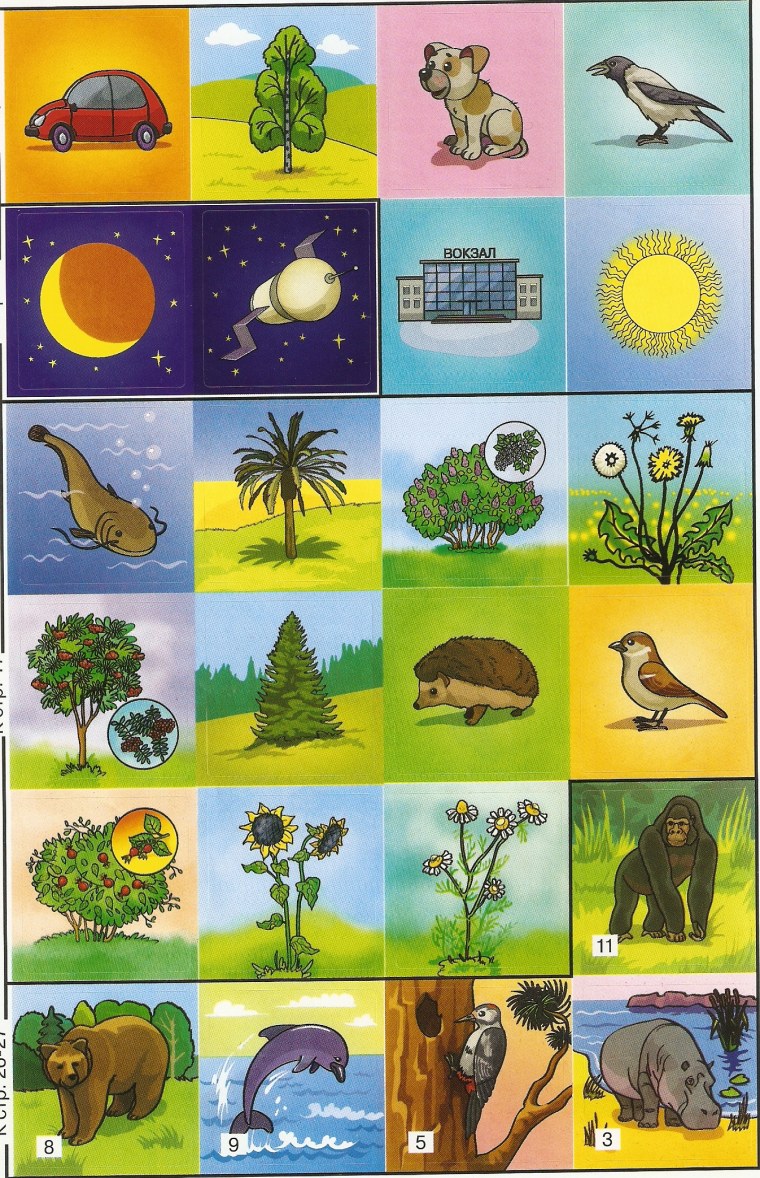 Живая и неживая природа для дошкольников