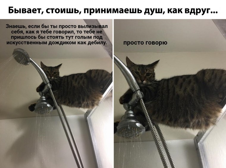 Душ прикол