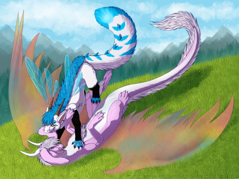 Ангельские драконы ферал