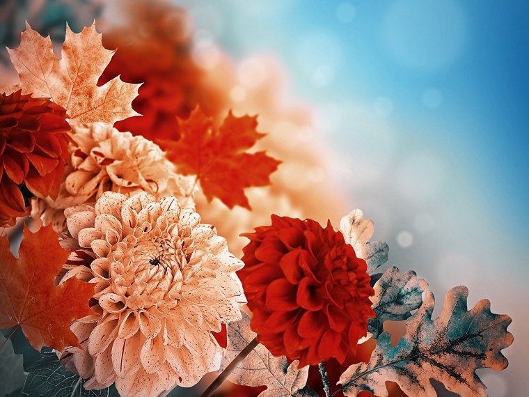 Фон для презентации осень