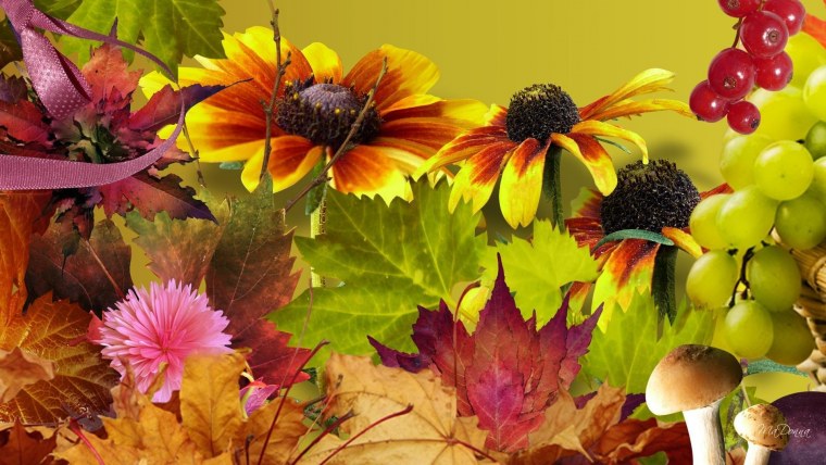 Разноцветная осень