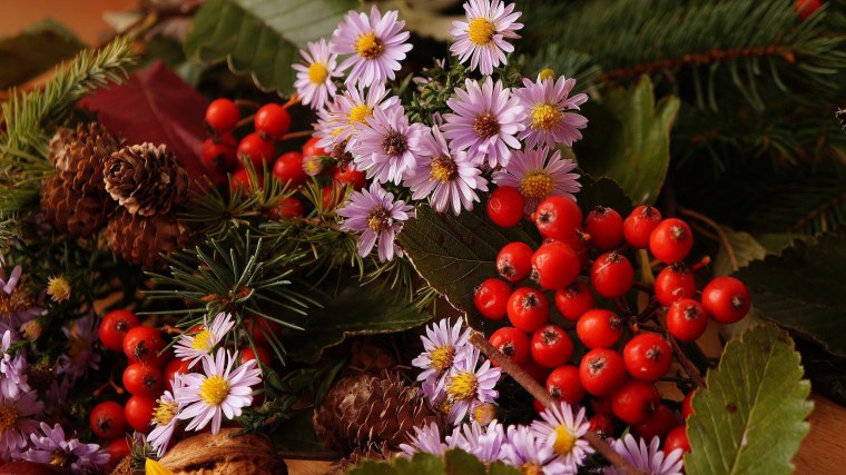 Душевные цветы