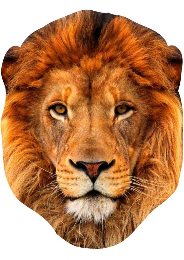 Мордочка Льва