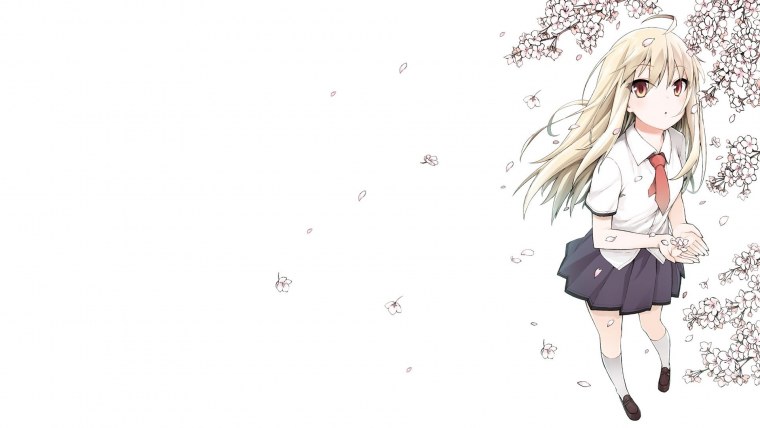 Кошечка из Сакурасо арт 1080