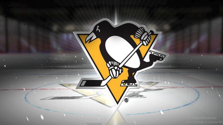 Хоккей НХЛ арт Панарин