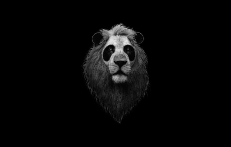 Минимализм животные