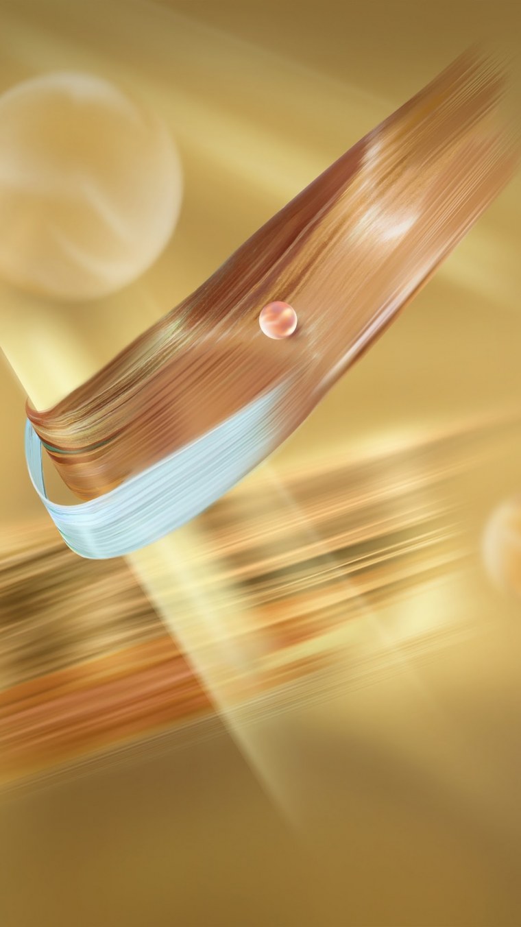 Заставка хонора