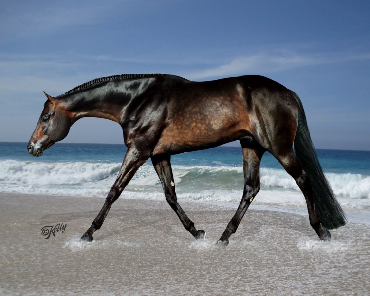 Лошадь в полный рост