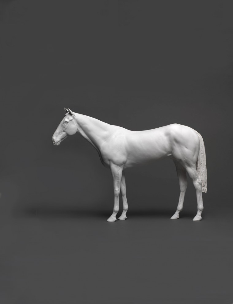 Белая лошадь профиль