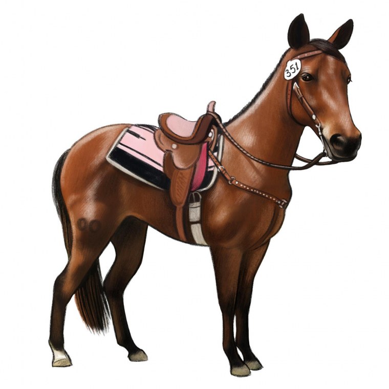 Лошадь в полный рост