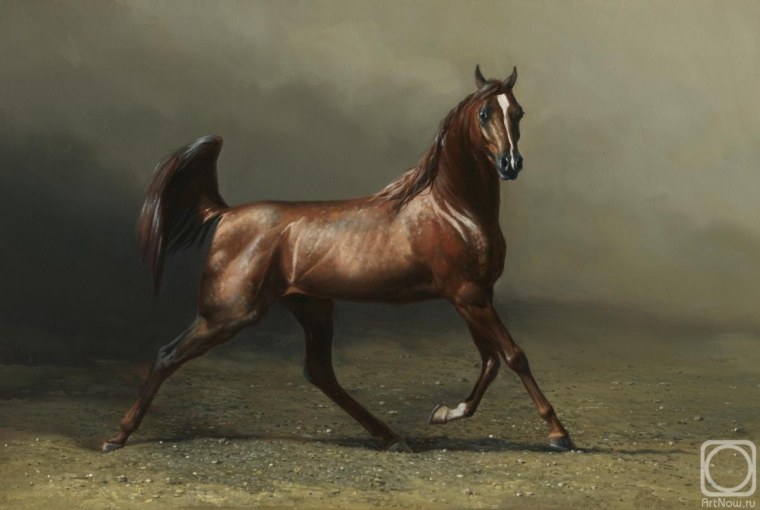 Гнедая лошадь Эстетика
