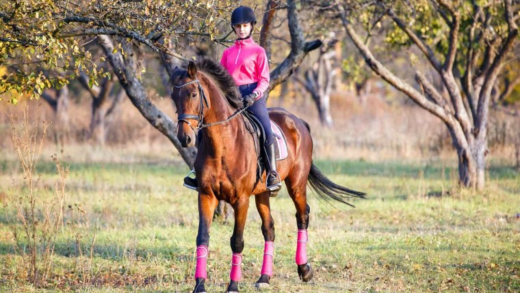 Маленькая наездница