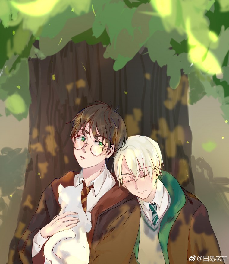 Гарри и Драко