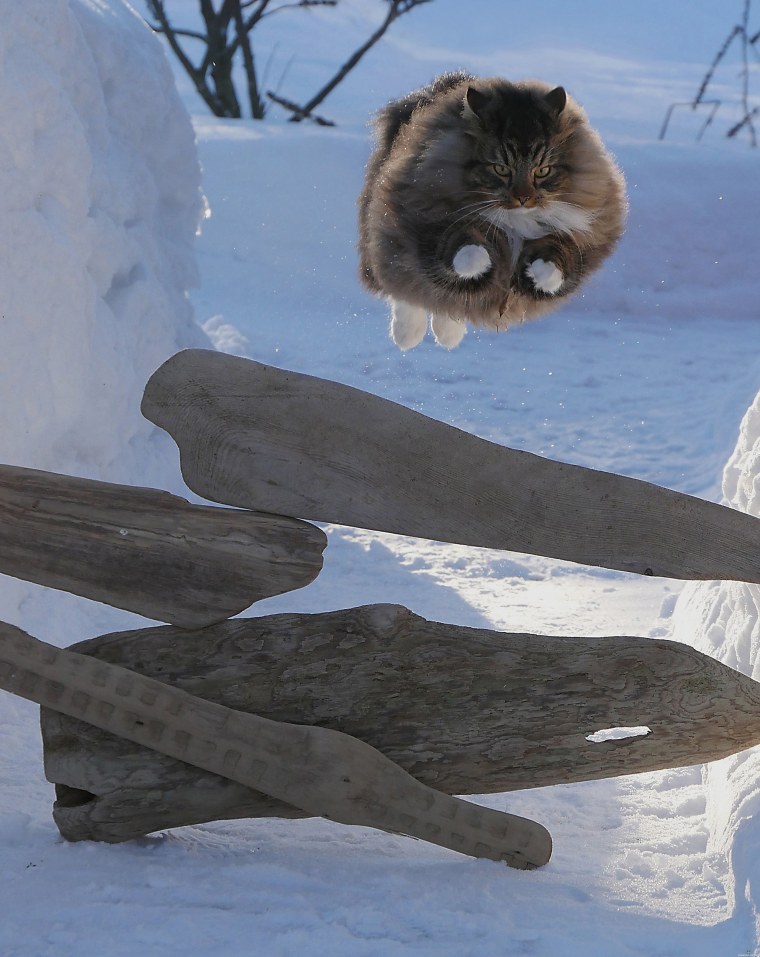 Мужчина в муке