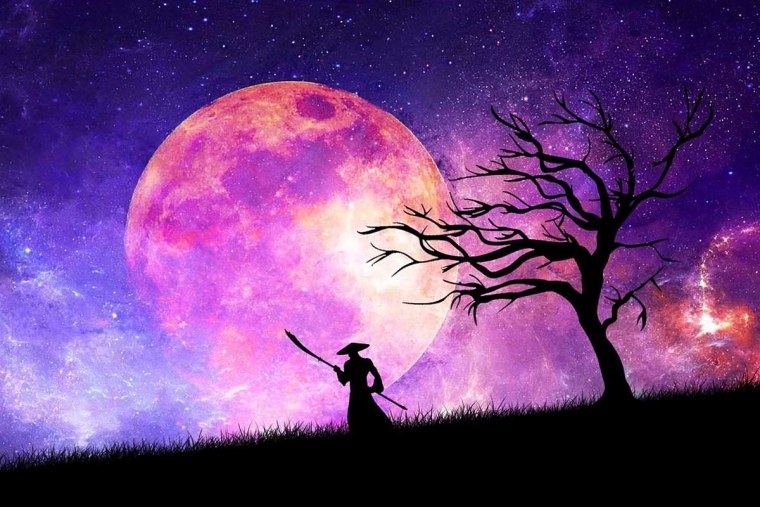 Сакура на фоне Луны