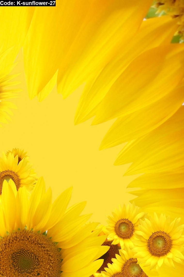 Желтый фон Подсолнухи
