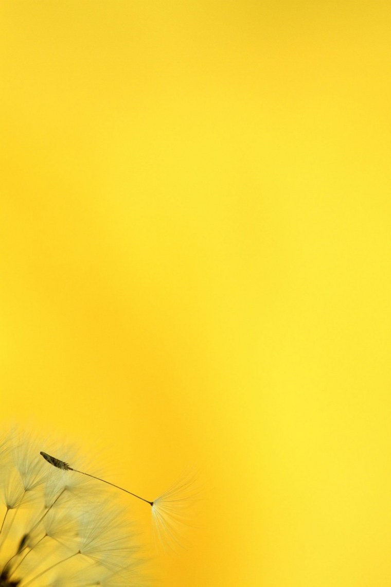 Желтые обои